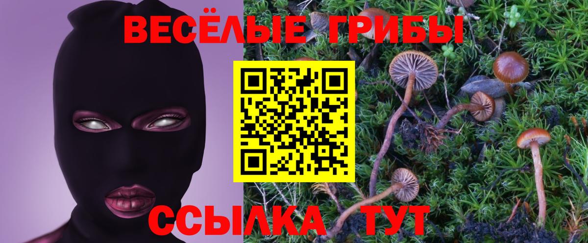 где купить наркотик  Псилоцибиновые грибы Cubensis  Галлюциногенные грибы Magic Shrooms  Вход с VPN  Москва 